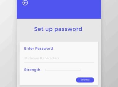 Blog Post. The Role of UX in Cybersecurity